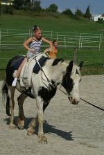 Reiten zählt zu einer der 60 Veranstaltungen in Kapfenberg.