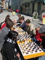 Schach - Das königliche Spiel