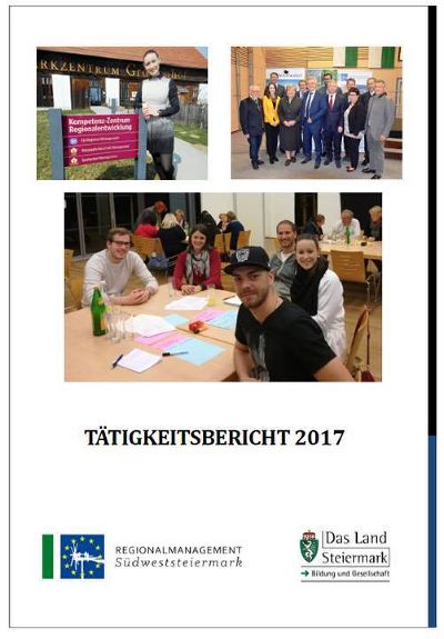 Tätigkeitsbericht 2017 