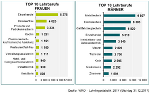 Top Lehrberufswahl Jugendliche © WKO Lehrlingsstatistik 2017